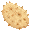 キワノ