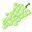 マスカット