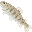 やまめ