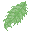 みずな