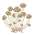 しめじ