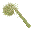 ぜんまい