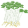 貝割れ大根