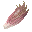 みょうが