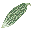 にが瓜