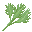 春菊